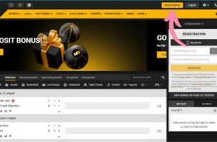 Visit the Melbet Website
