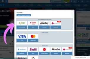 Select Payment System