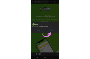 Launch the Application