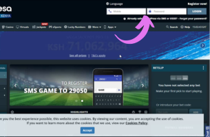 Go to the Login Part